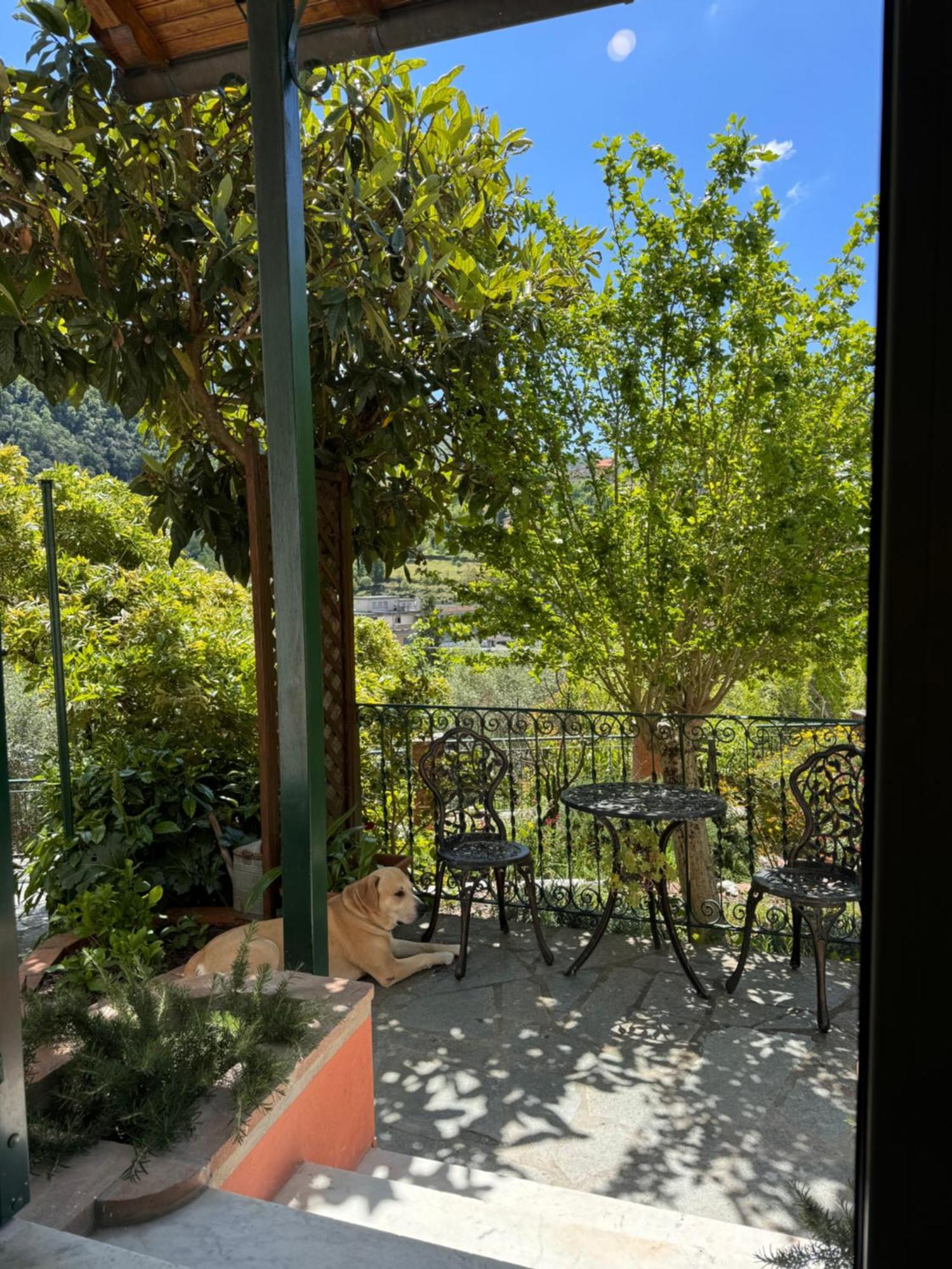 “Da Gio” In Un Antico Borgo Di Genova Apartment ภายนอก รูปภาพ
